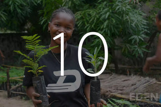Plantar 10 árboles con Eden Reforestation Projects